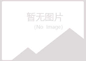 平利县字迹工程有限公司